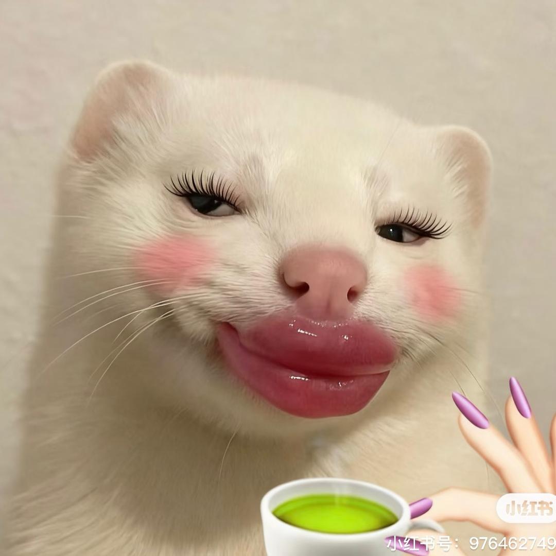 瑄