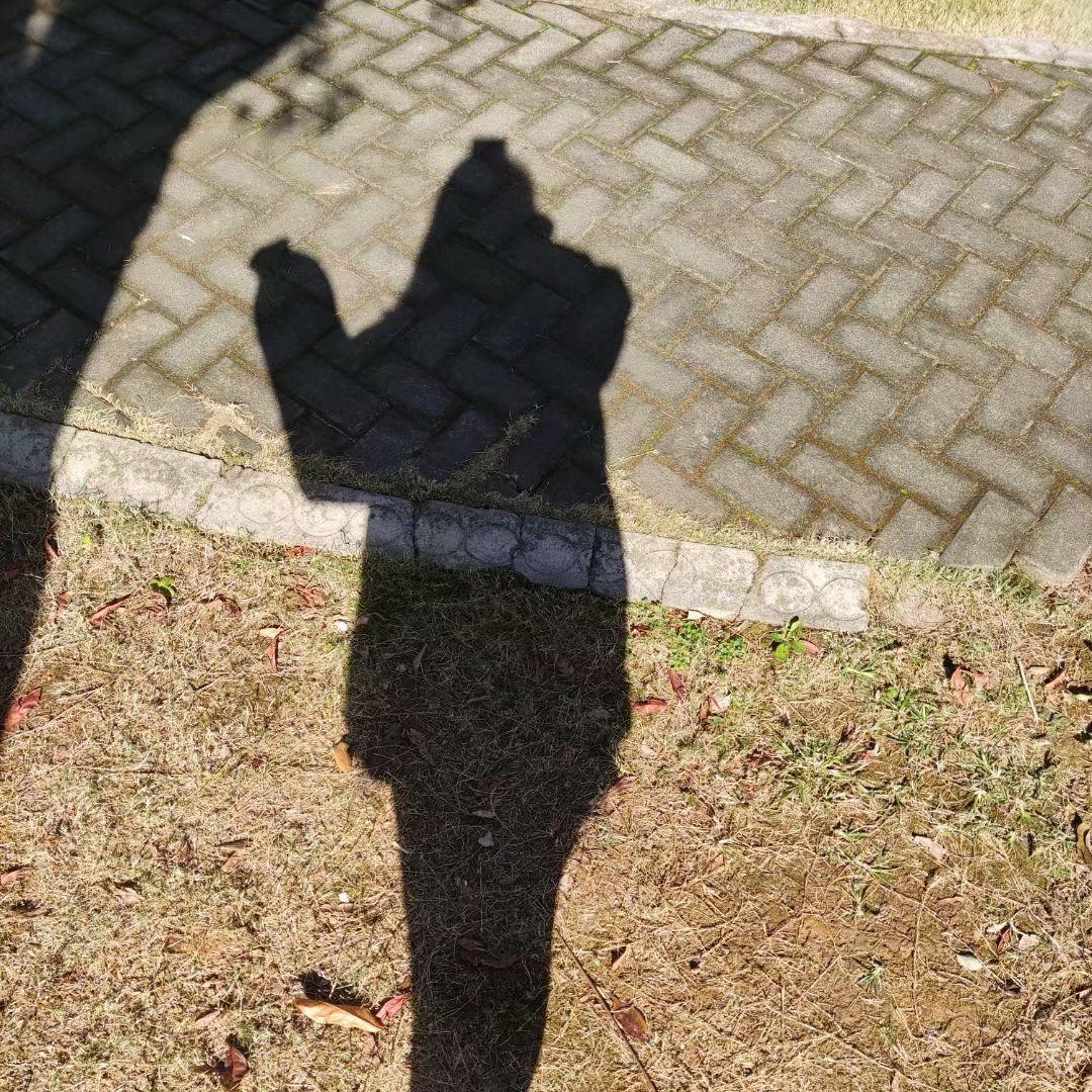 V：瑶