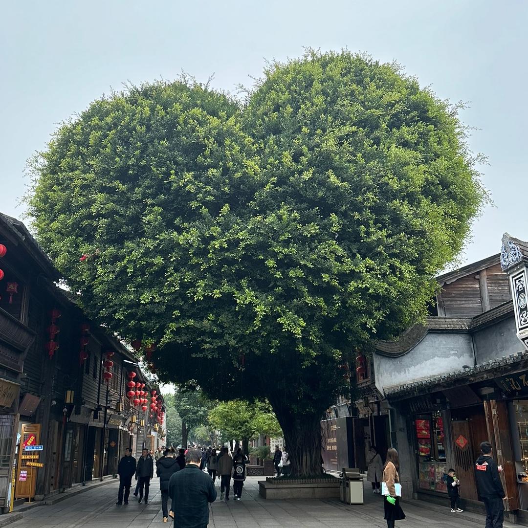 马小跳