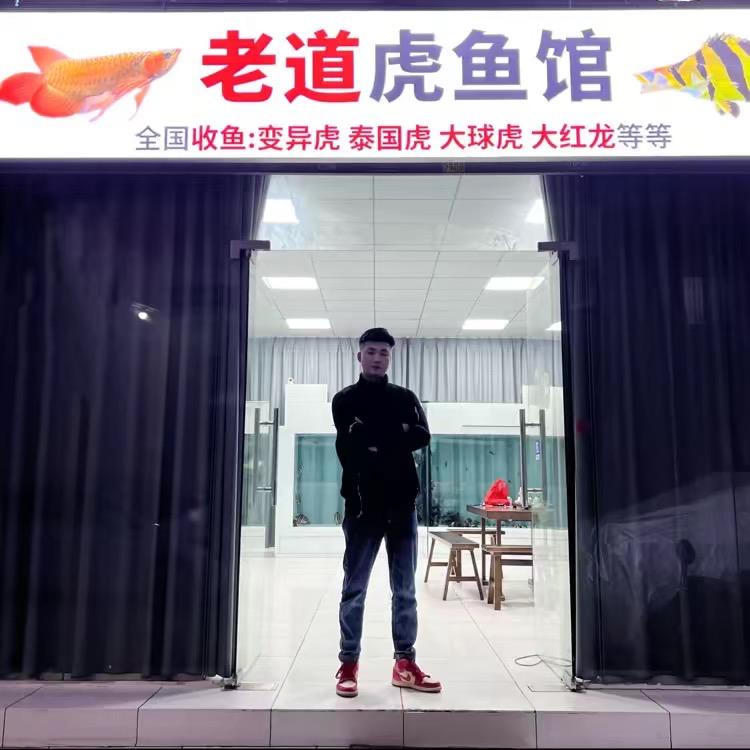 老道虎鱼观赏鱼店
