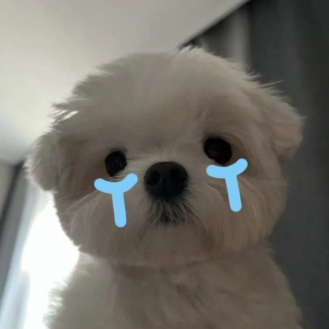 美式学弟愛上广島學姐