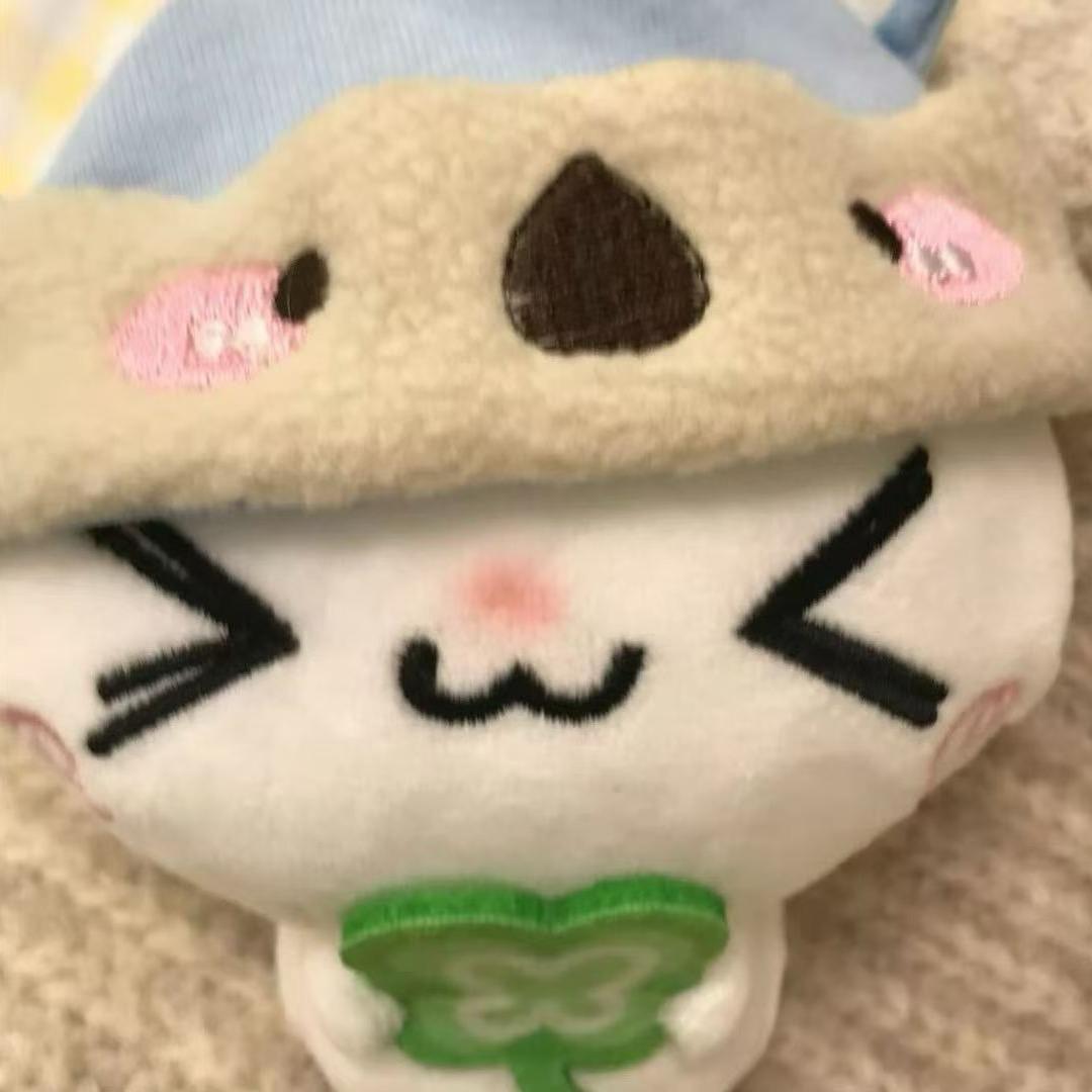 不登玉珠不改名