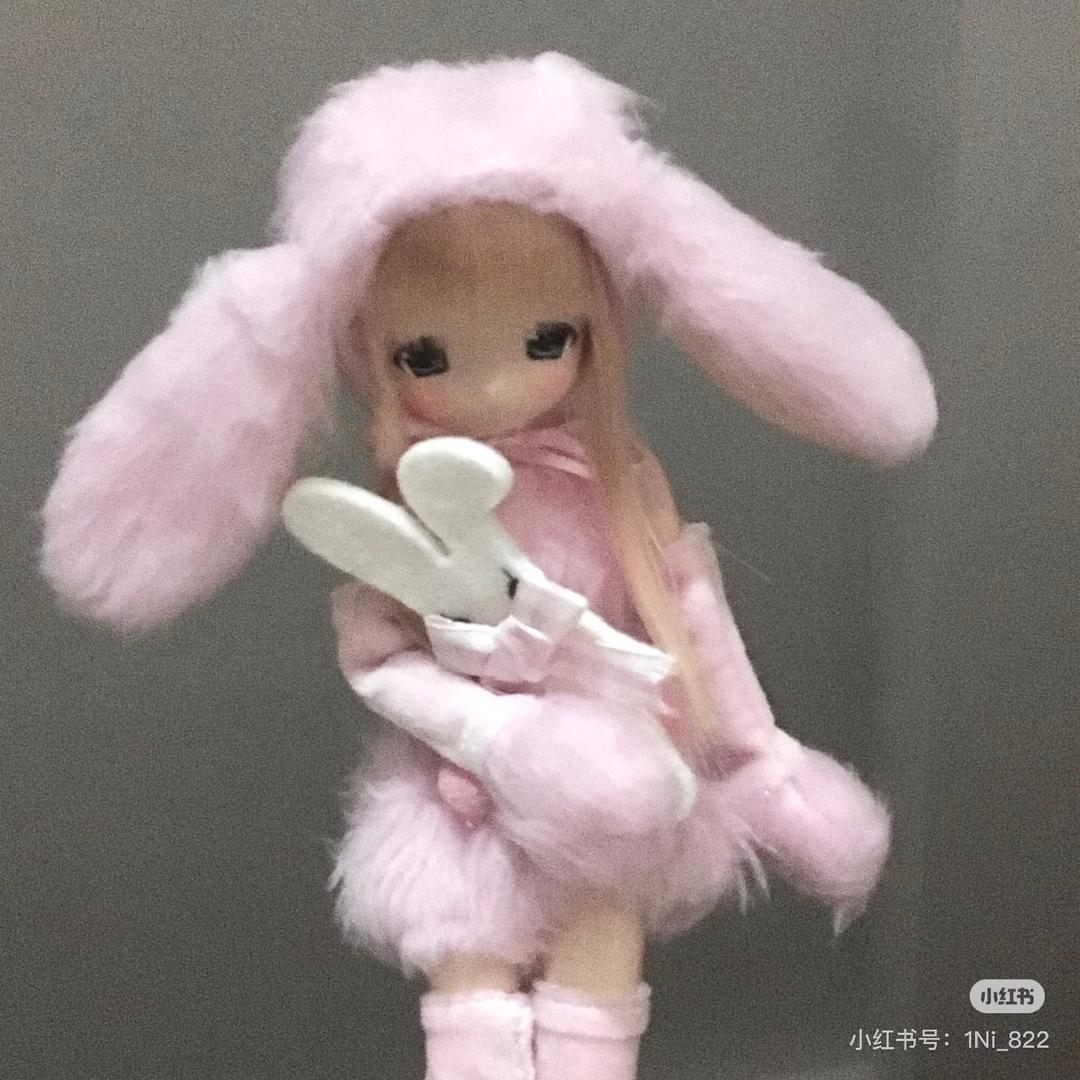 兔兔🐰