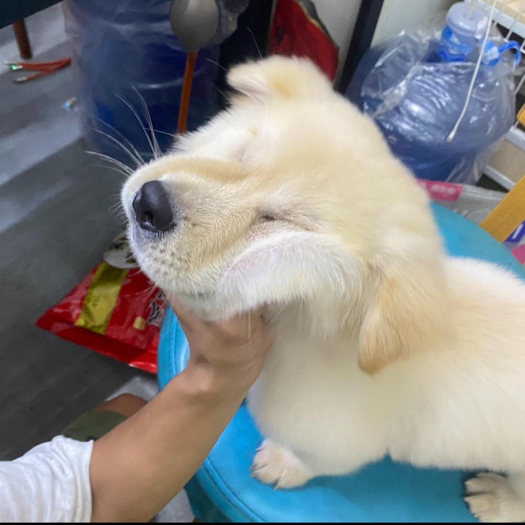 杰_