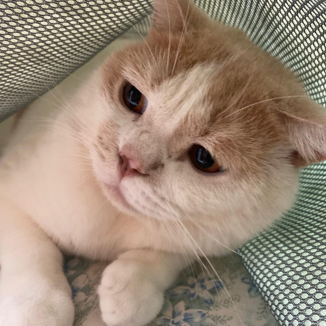 明明白白