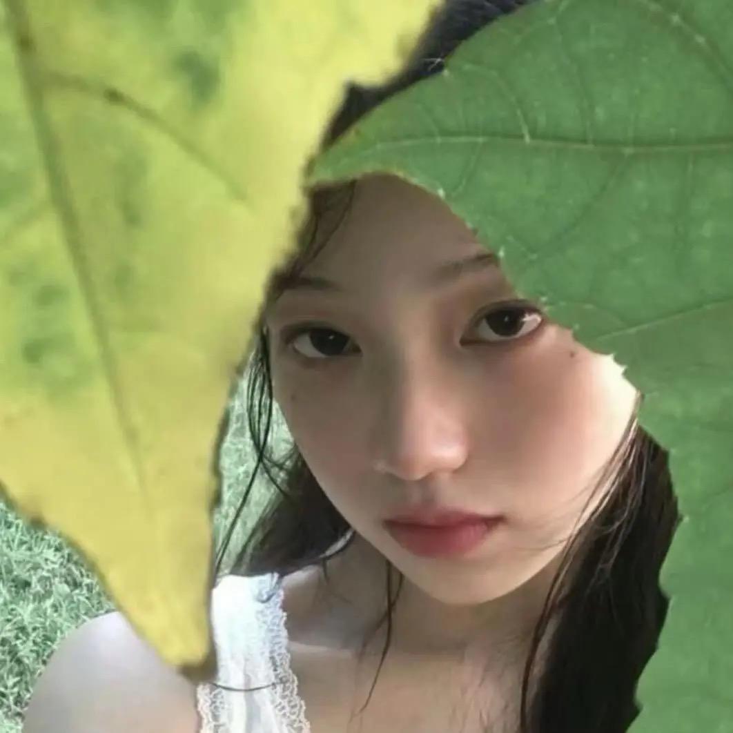 十鸢