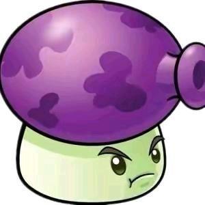 🟣 🟣 🟣 🟣 🟣 🟣 🟣