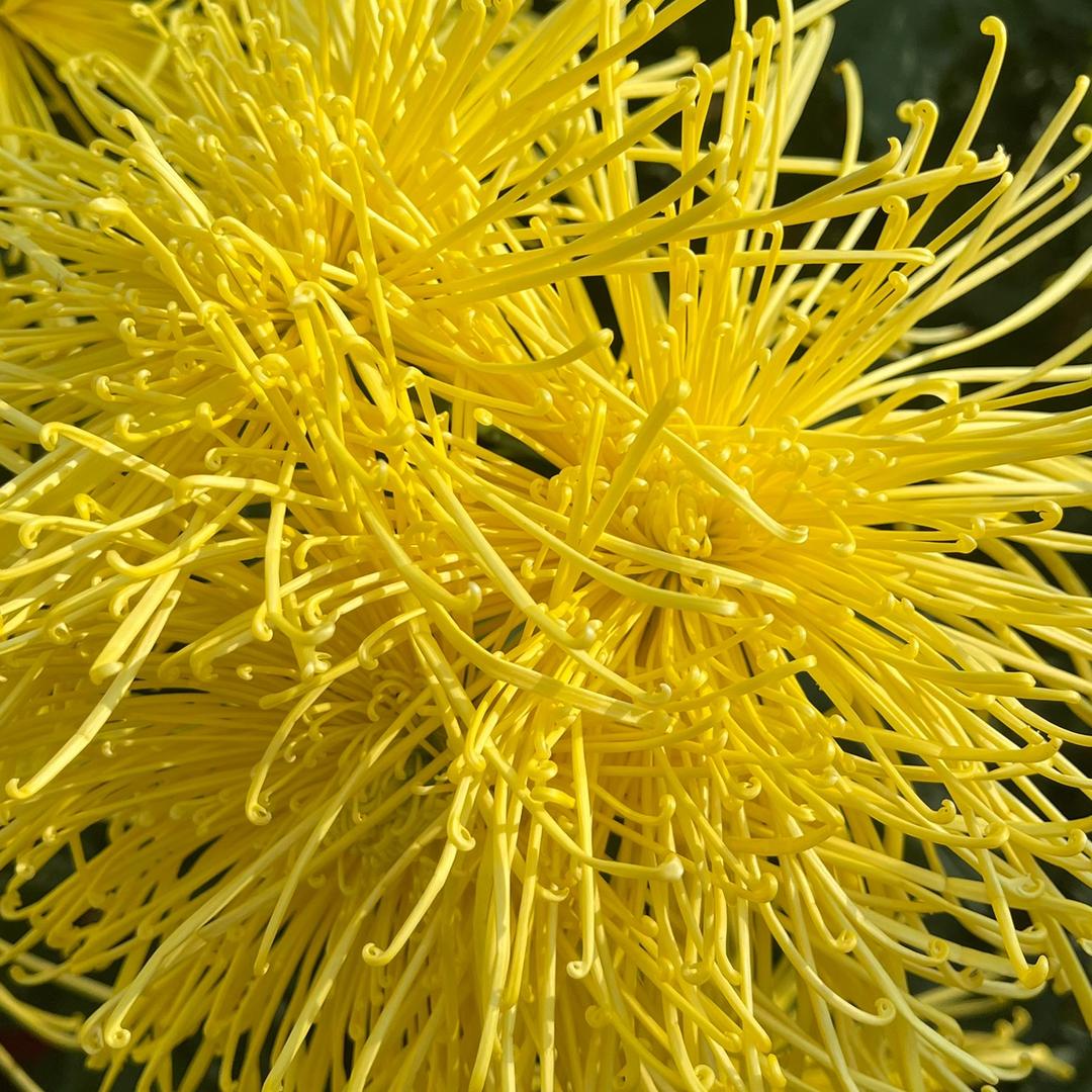 红尘远离