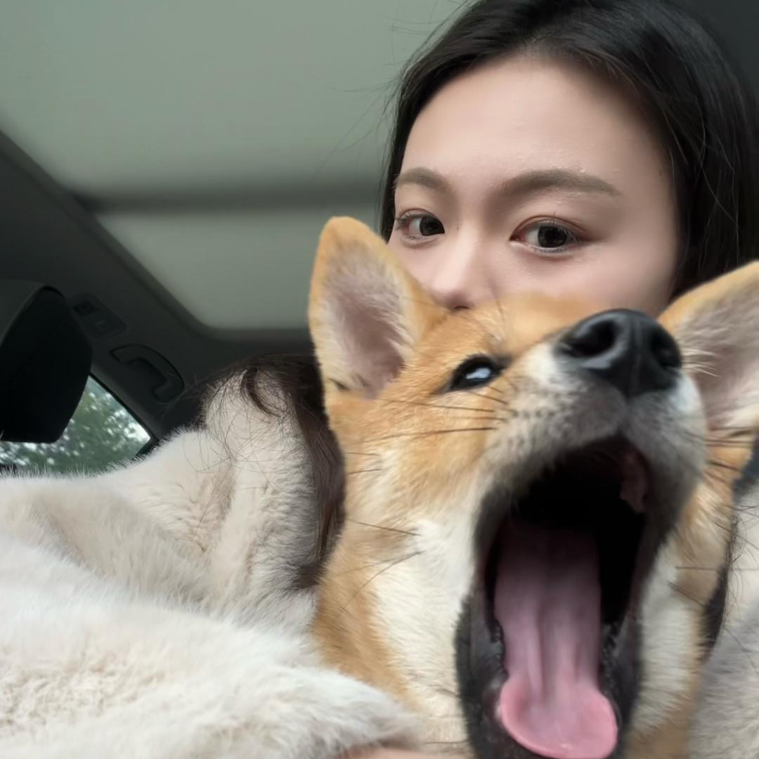 啧啧啧