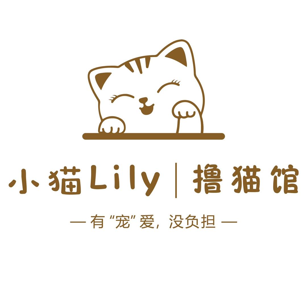 小猫Lily撸猫馆