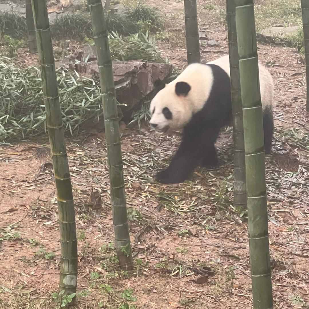 怡然
