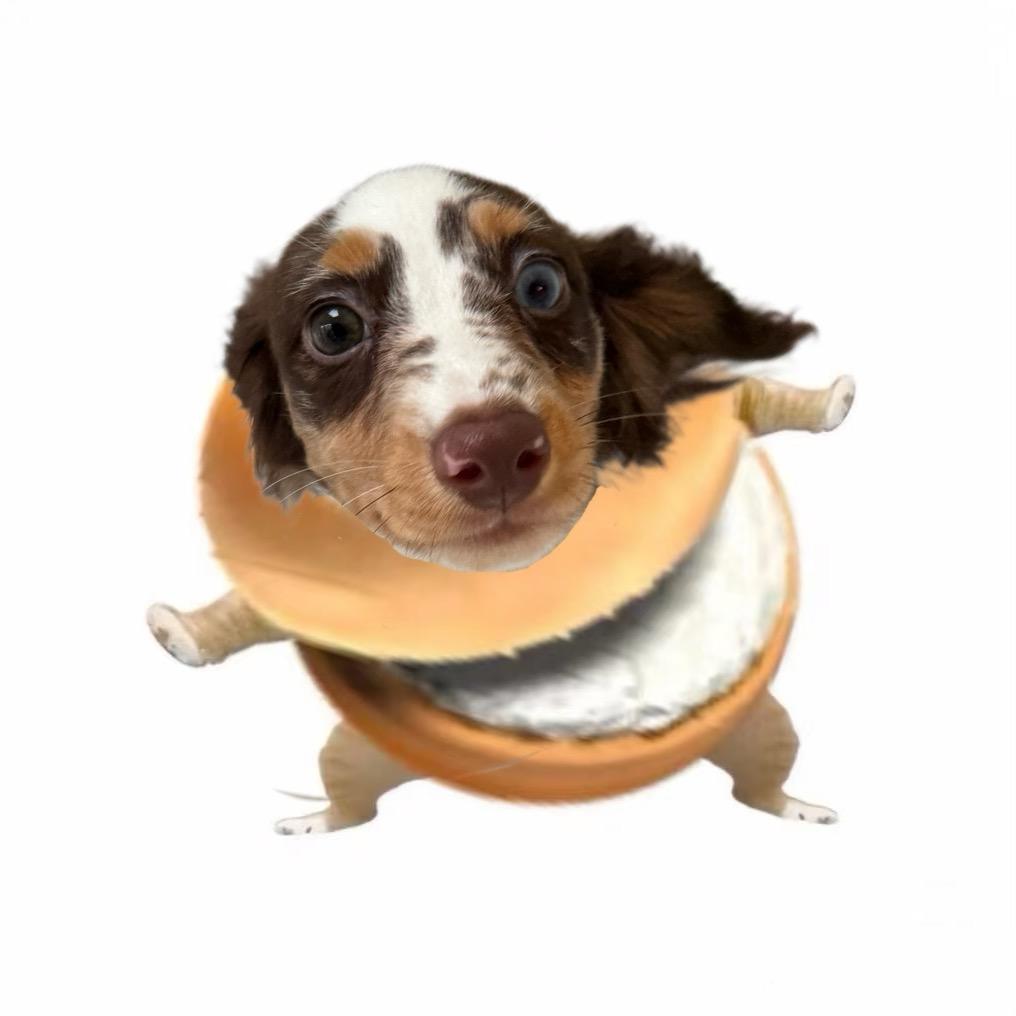 叽里呱啦雾里哇啦