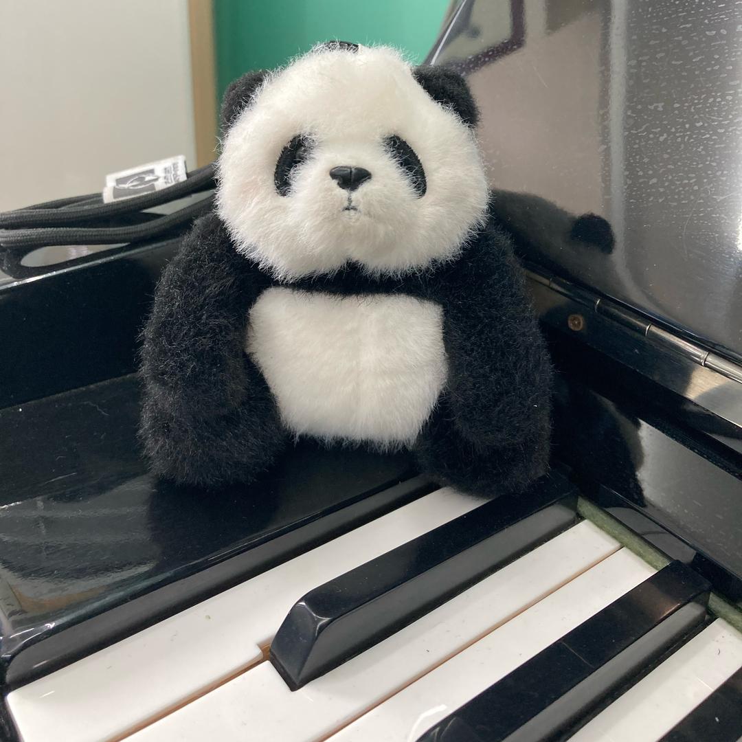 宪荣文化 bear