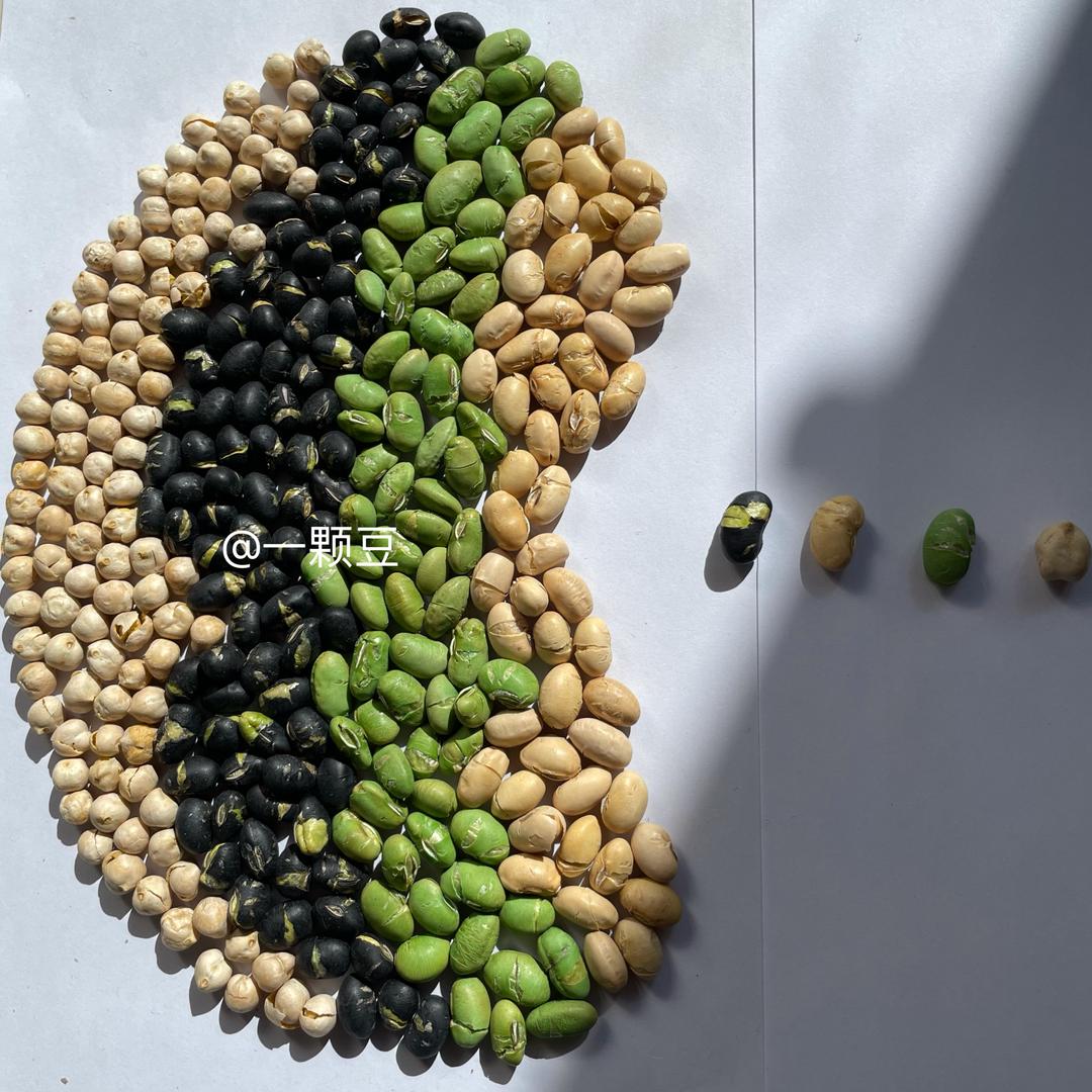 亿颗豆1