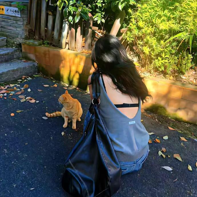 旧巷与猫