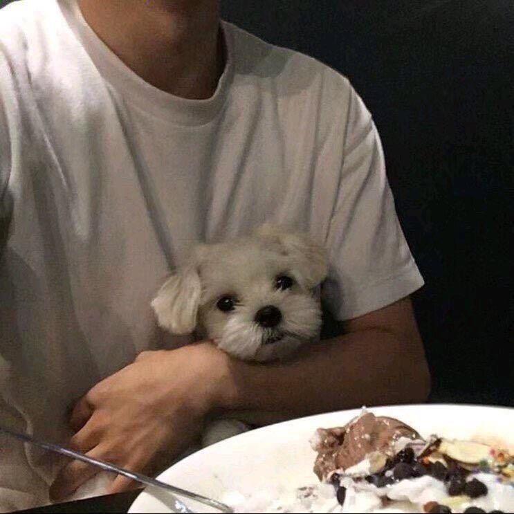 打瞌睡的然
