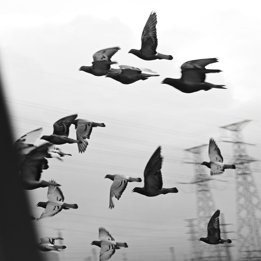 年年