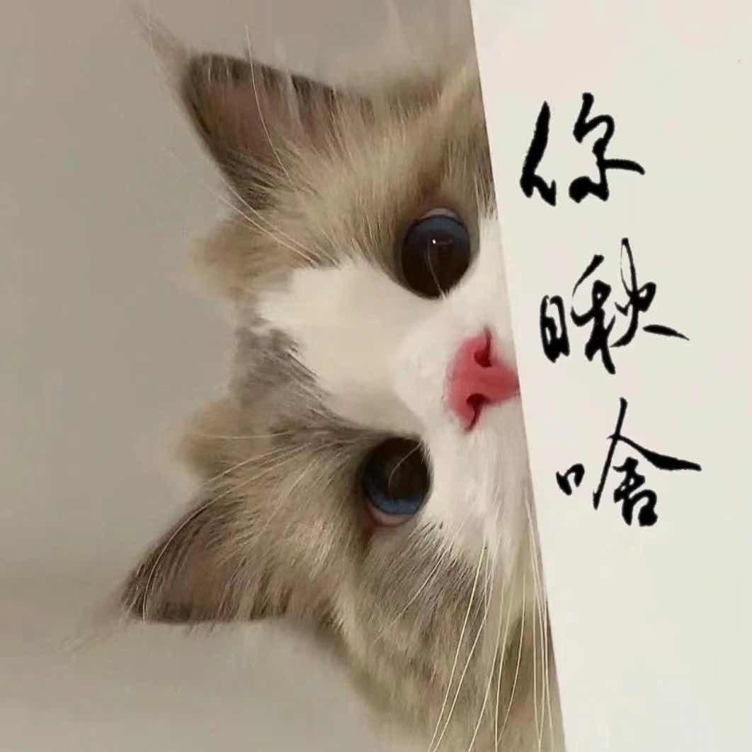 上心🌟