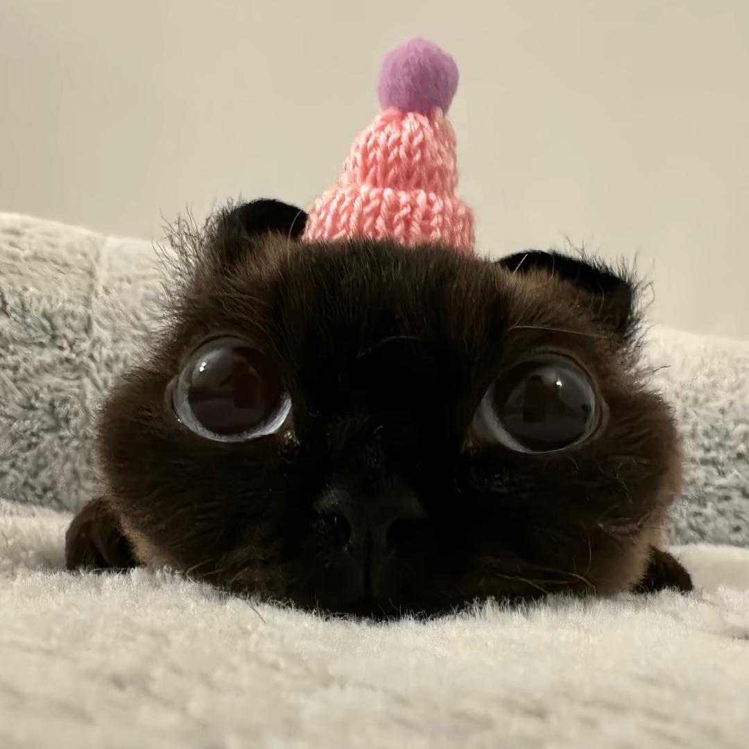 闺蜜闺蜜哈波一，凑在一块变美女