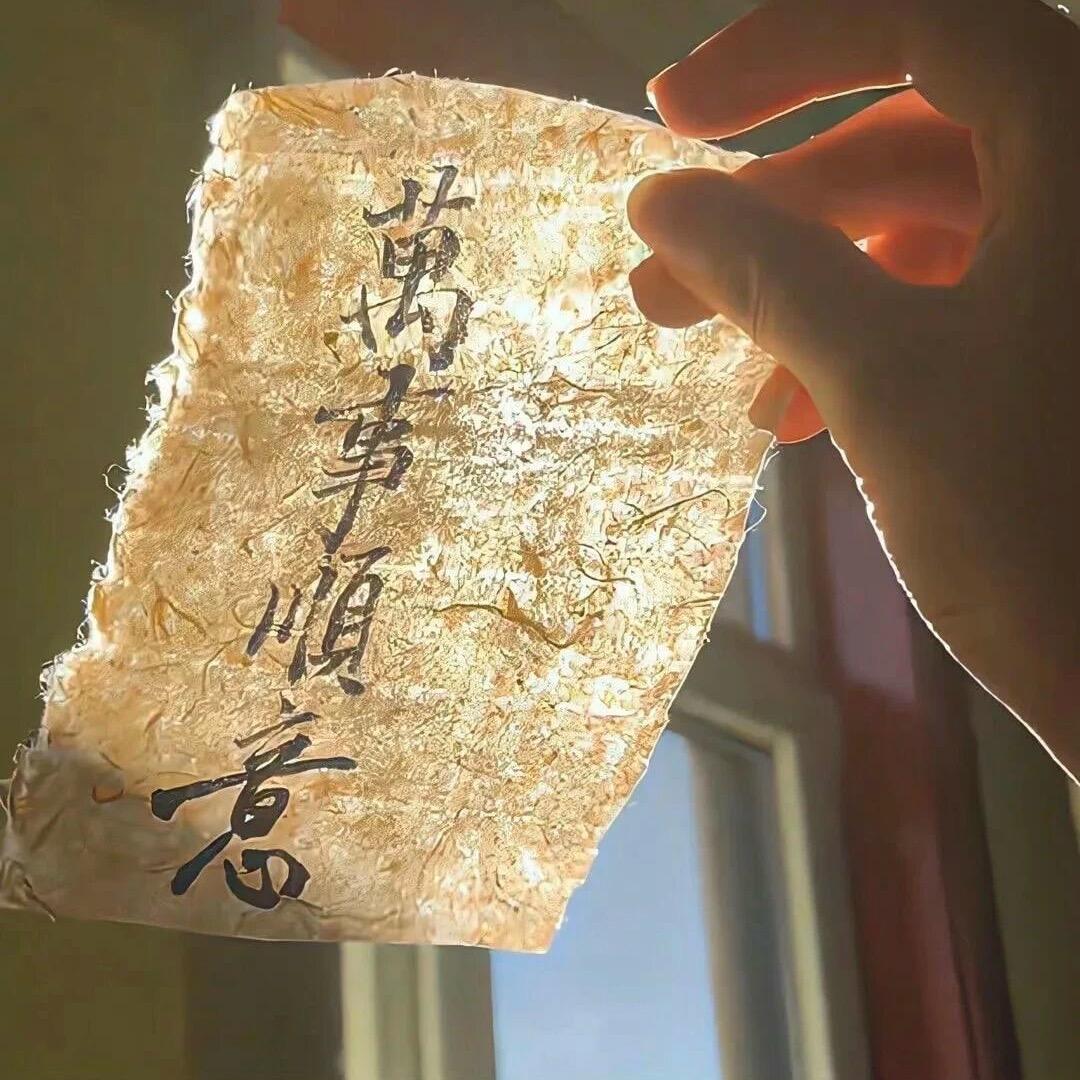 是金姐姐呀