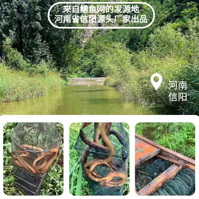 广结鳝缘（户外叫兽）