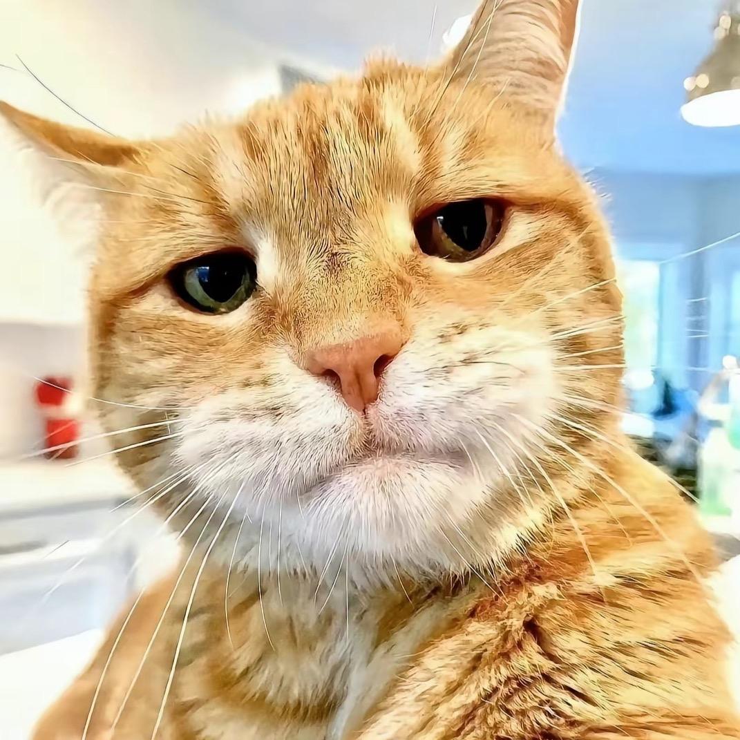 有人告诉我说名字起得越长会有傻子跟着念