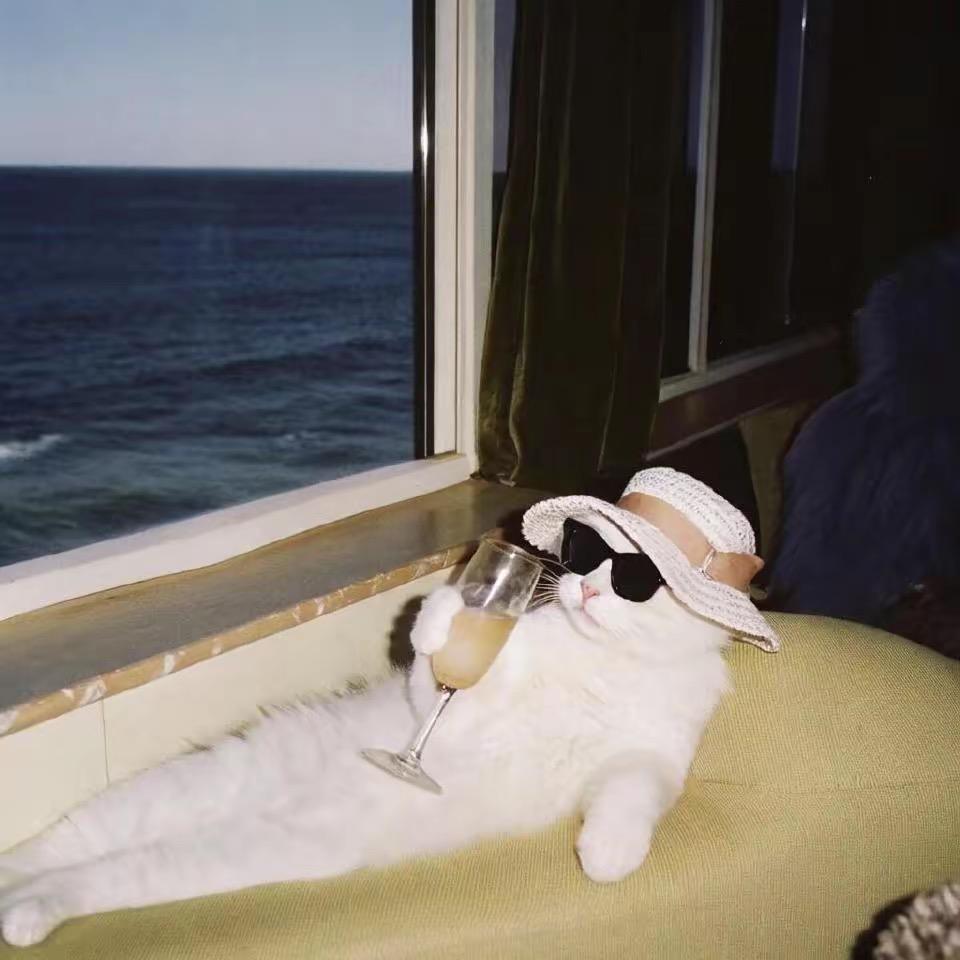 她说人多以为有我