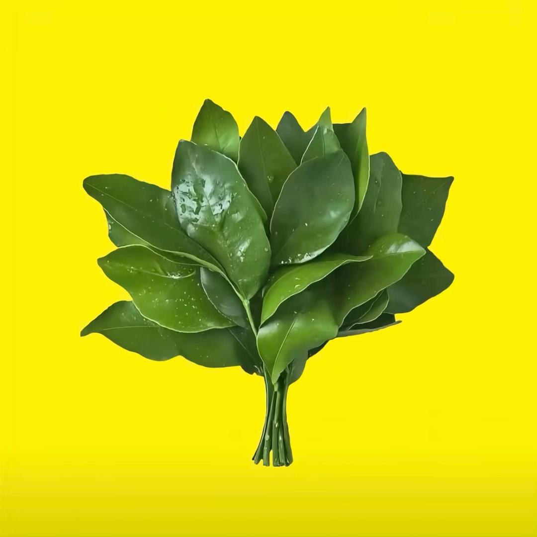 L…