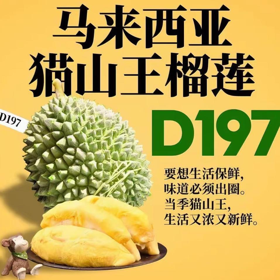 喜燕榴莲
