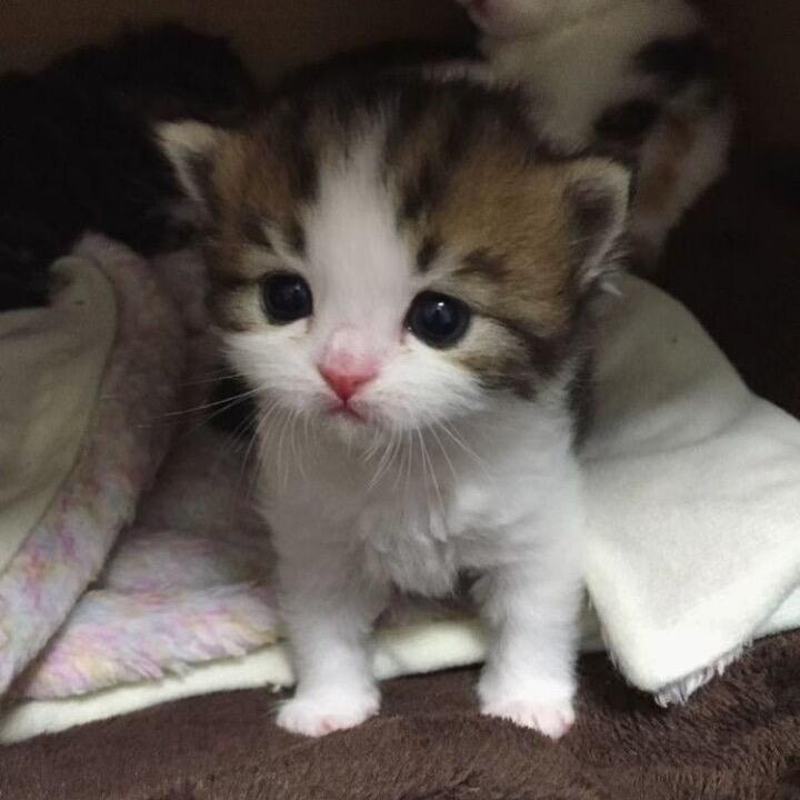 与你尸体最后的温暖