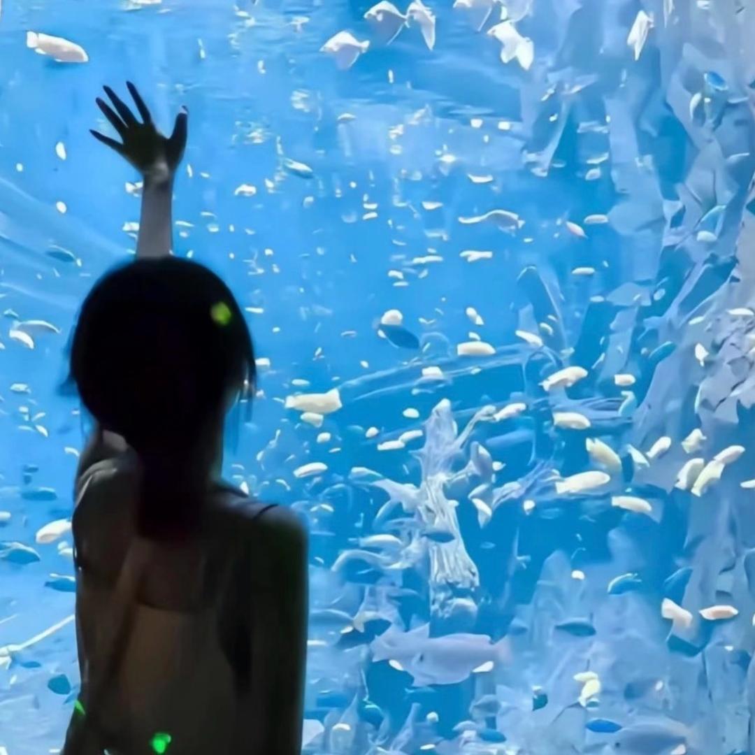 刘心奶黄包