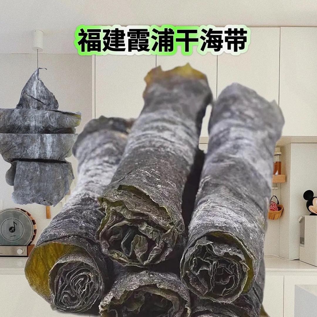 霞浦海带·鲜味担当