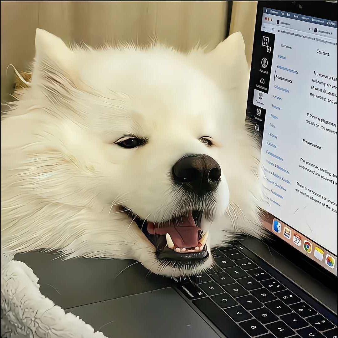 海边.