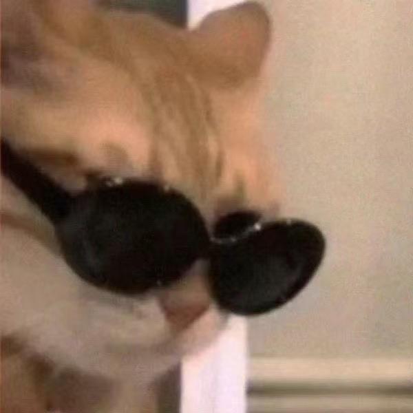 中山小榄熊猫马戏嘉年华