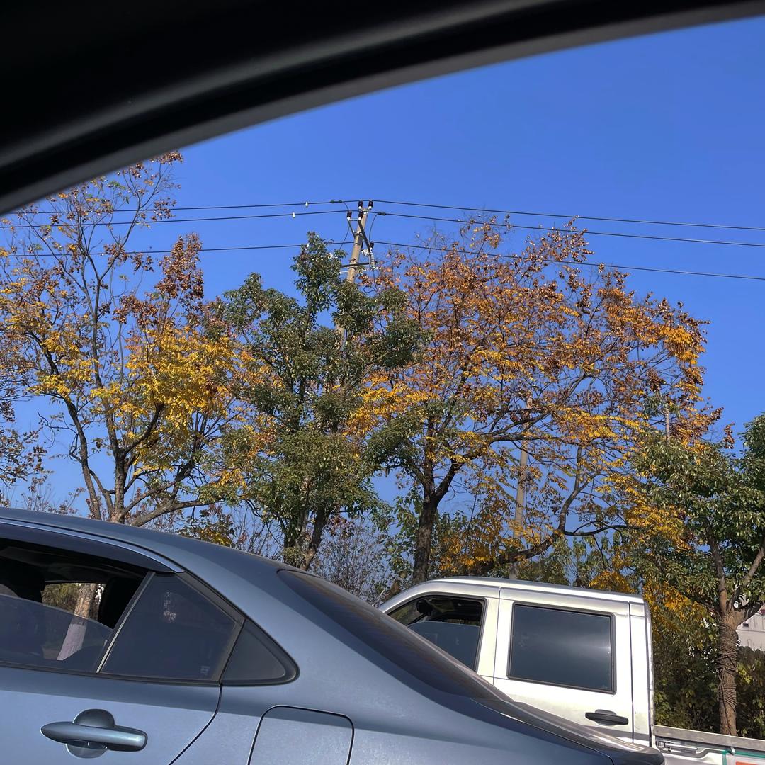 孜孜