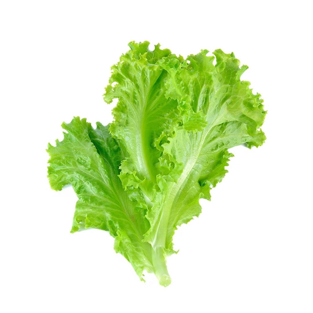 柧