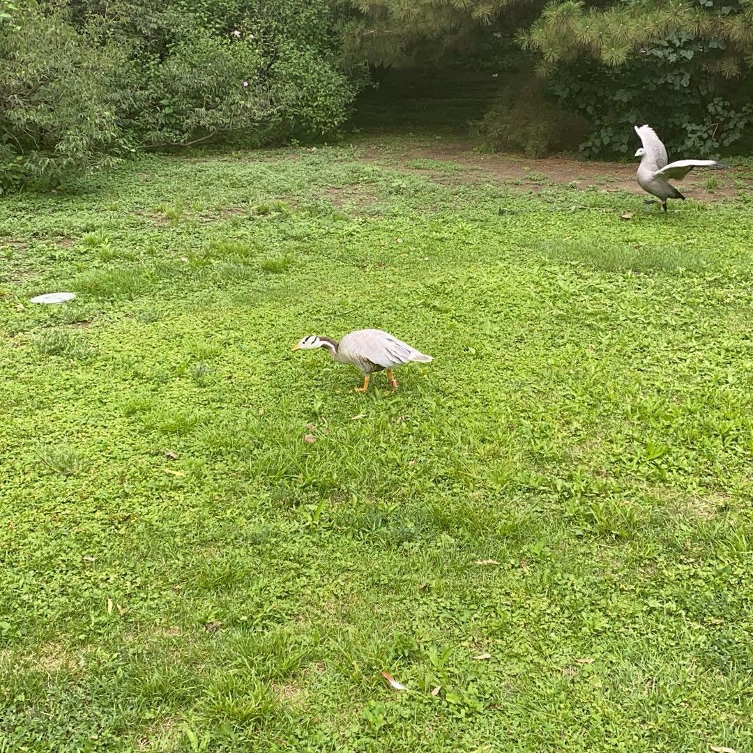 北漂小滴哥（阿杰）