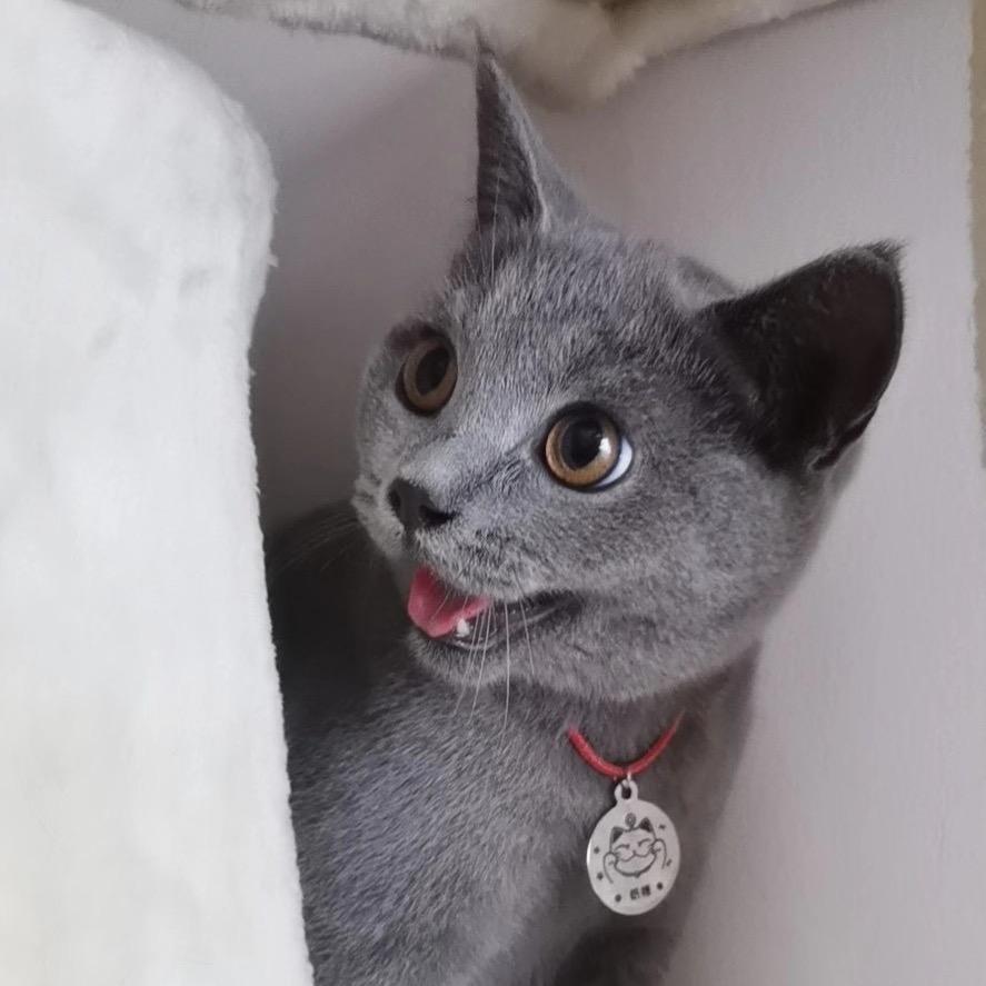 🌈花花的生活。🌸