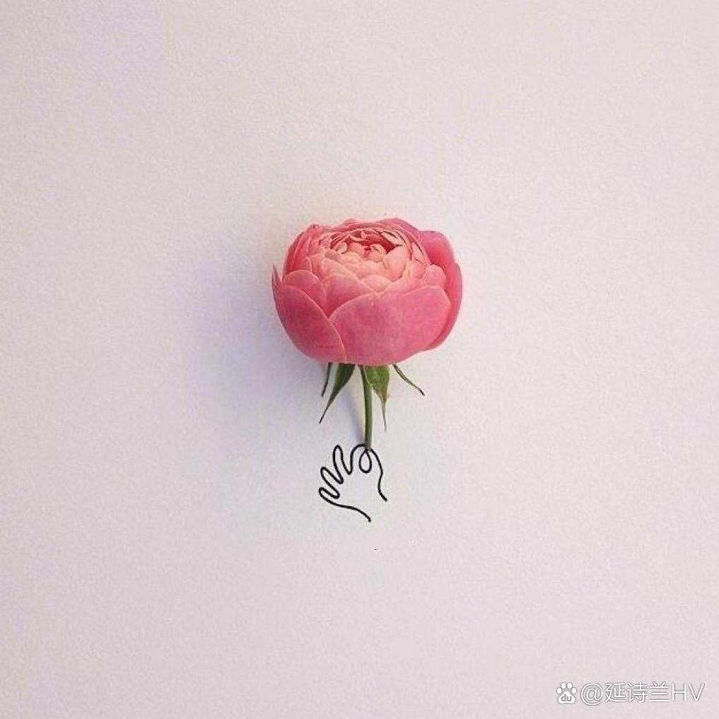 小彭友。