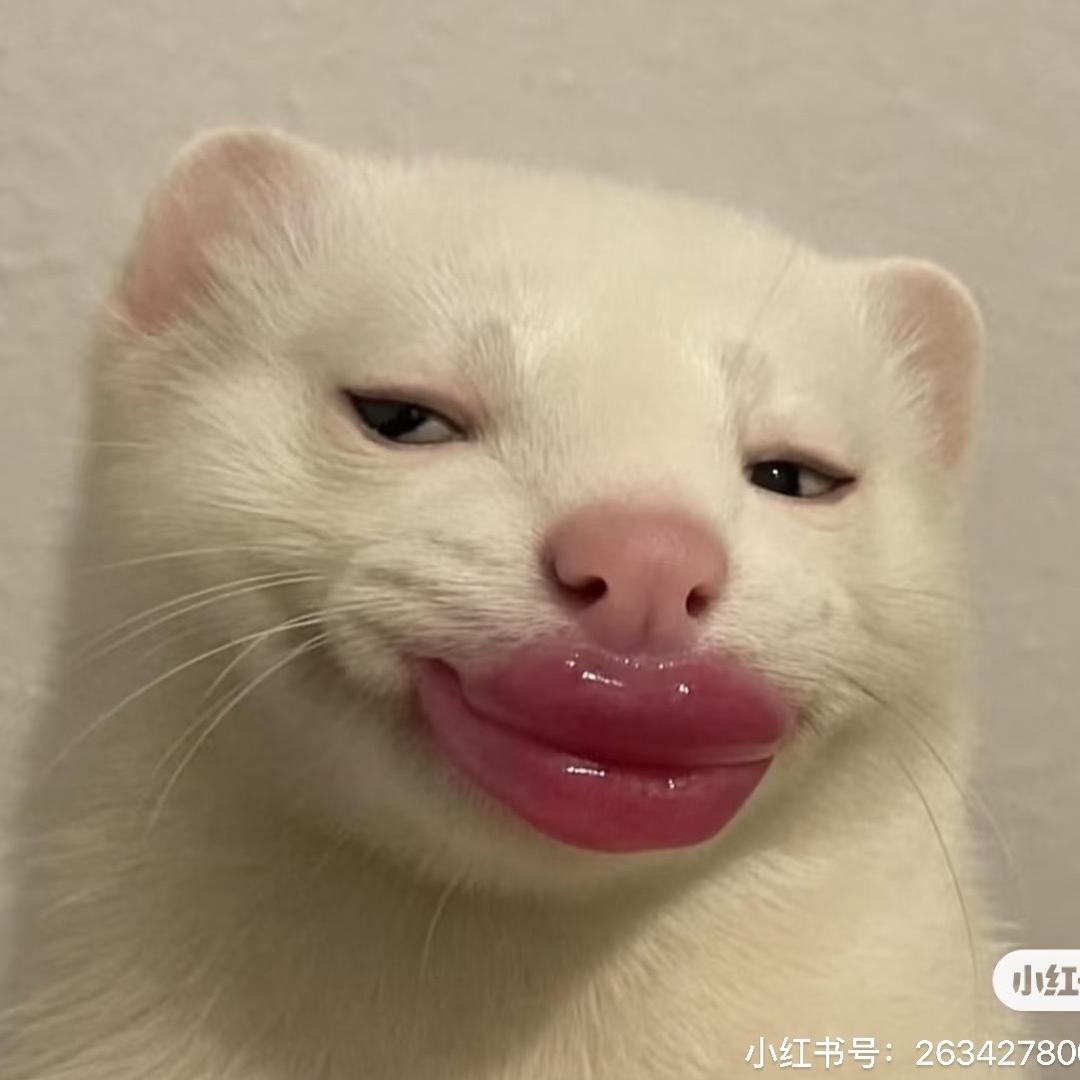 浅水区