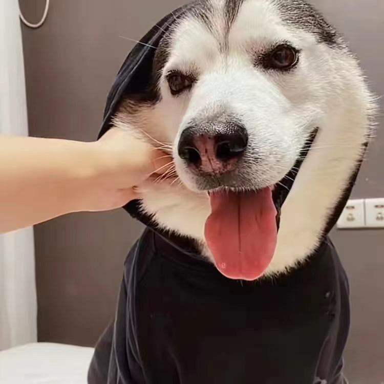 人力招聘王经理