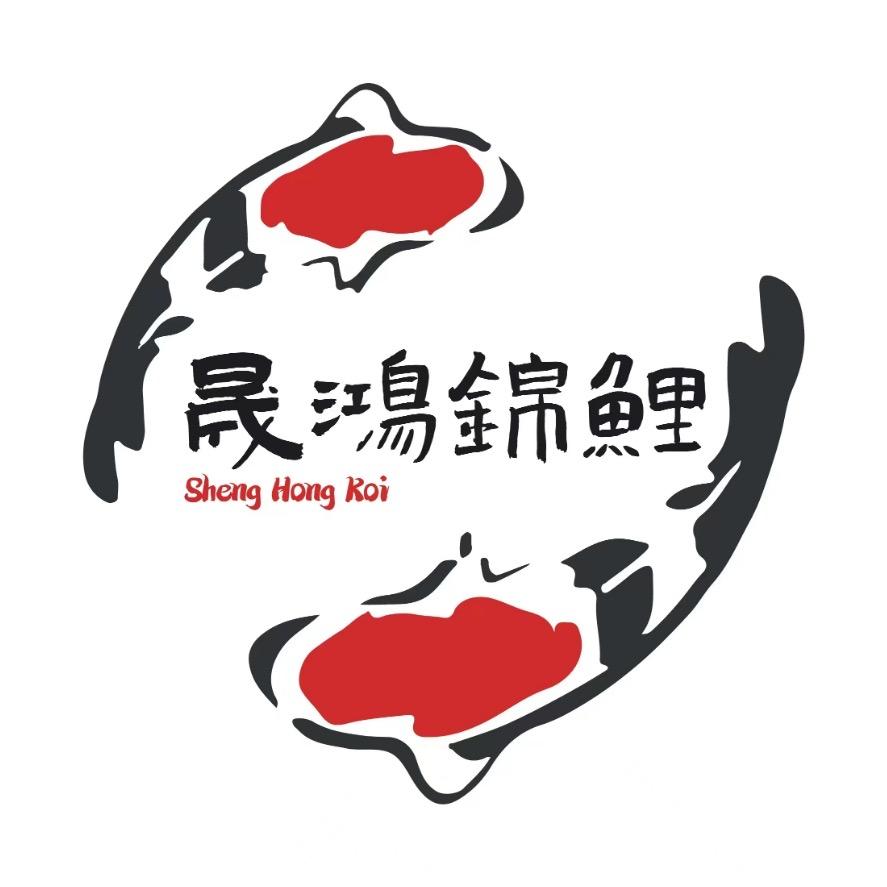 晟鸿锦鲤