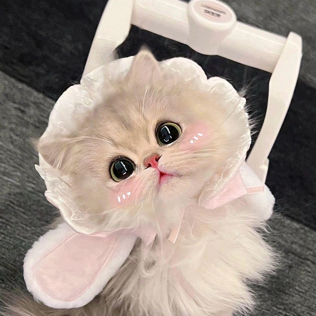 小花妹妹.