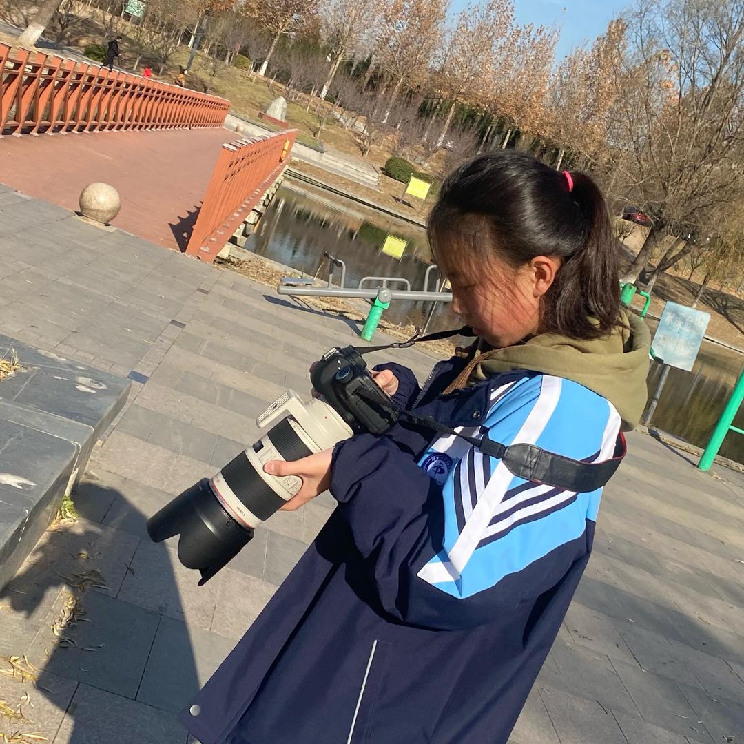 寒枫默言