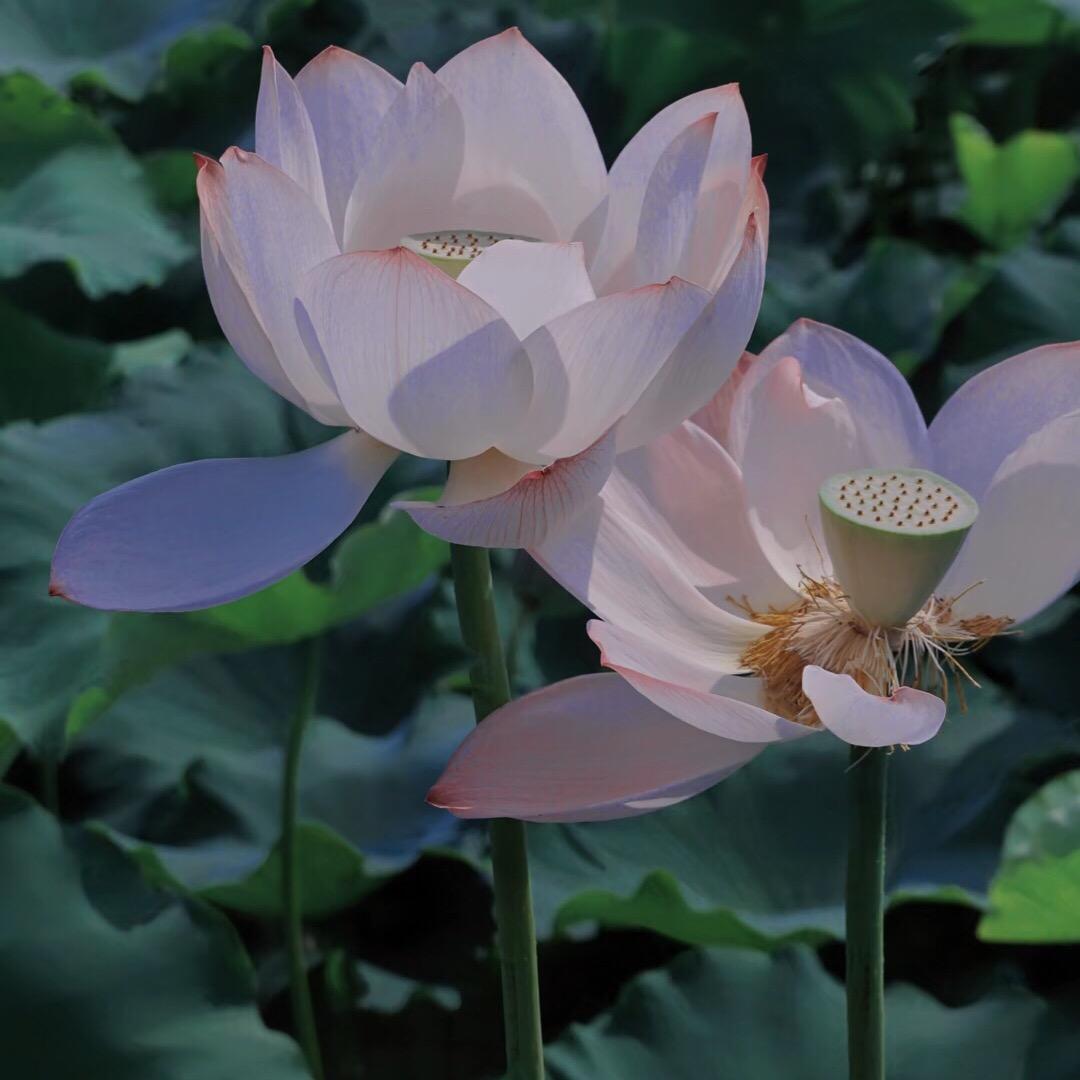 正能量益儿
