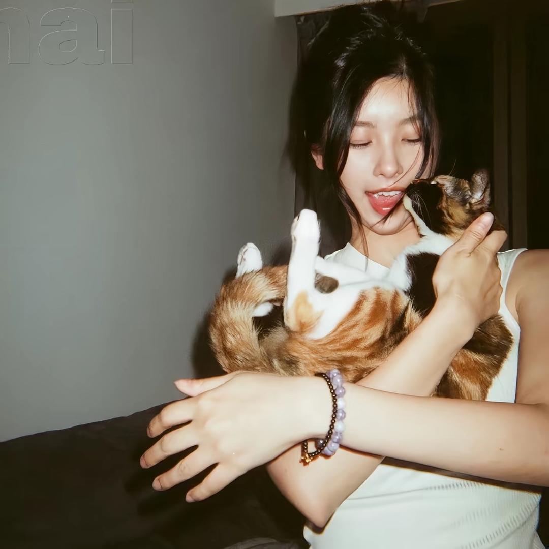 豆荚子儿