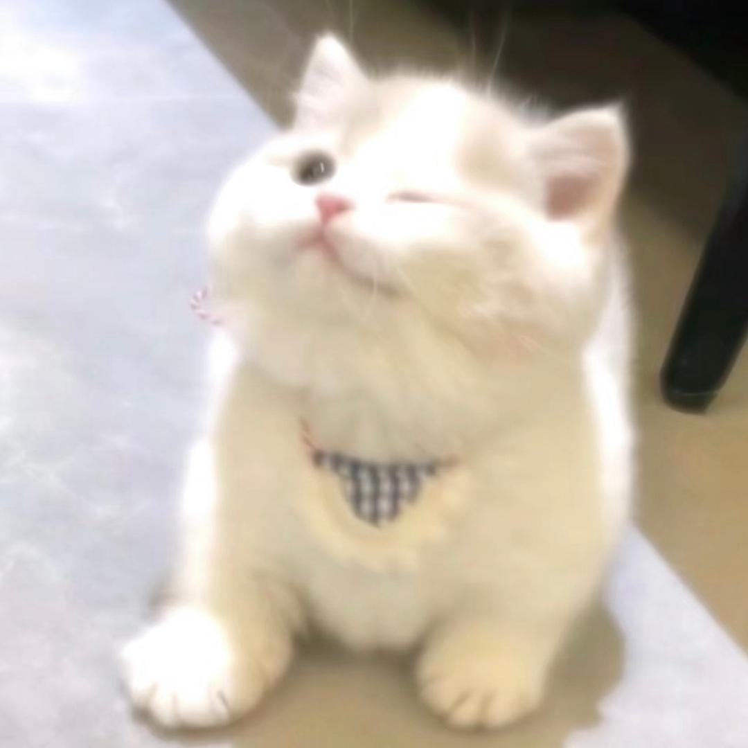 马宁有限