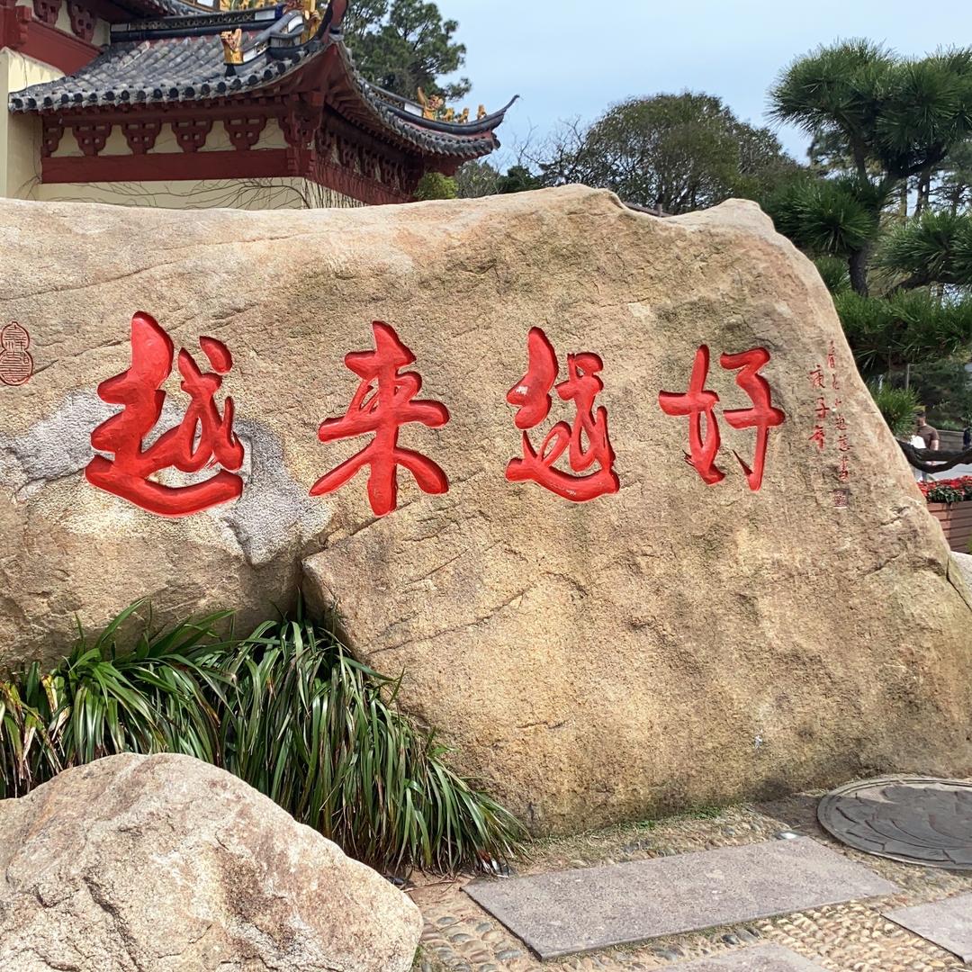 紫苏挑子姜