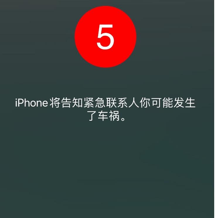 🐆社会你豹哥