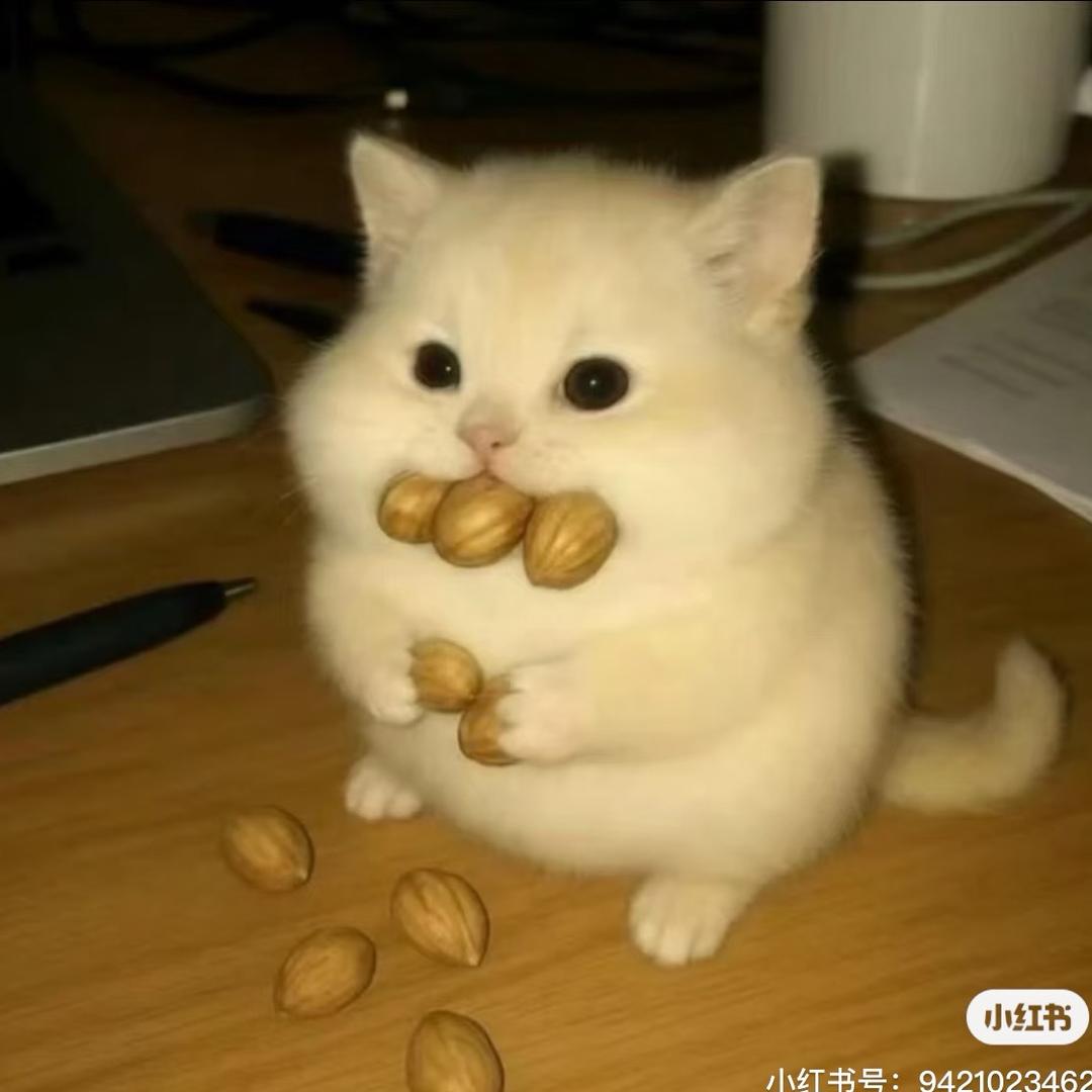 噜噜